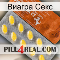 Виагра Секс 42